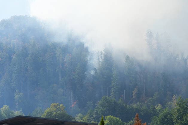 Forest Fire in Zell am Harmersbach, August 11, 2026 Forest Fire in Zell am Harmersbach, August 11, 2026 Zell am Harmersbach, Baden-Württemberg, Germany Copyright: xBEAUTIFULxSPORTS Boscox