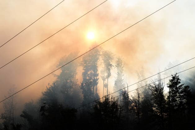 Forest Fire in Zell am Harmersbach, August 11, 2026 Forest Fire in Zell am Harmersbach, August 11, 2026 Zell am Harmersbach, Baden-Württemberg, Germany Copyright: xBEAUTIFULxSPORTS Boscox