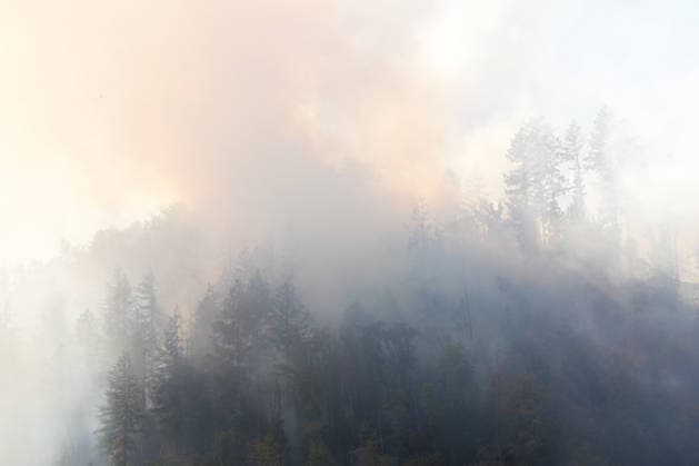 Forest Fire in Zell am Harmersbach, August 11, 2026 Forest Fire in Zell am Harmersbach, August 11, 2026 Zell am Harmersbach, Baden-Württemberg, Germany Copyright: xBEAUTIFULxSPORTS Boscox