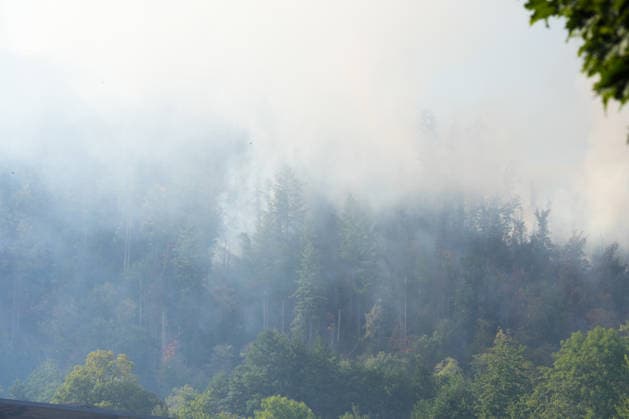 Forest Fire in Zell am Harmersbach, August 11, 2026 Forest Fire in Zell am Harmersbach, August 11, 2026 Zell am Harmersbach, Baden-Württemberg, Germany Copyright: xBEAUTIFULxSPORTS Boscox
