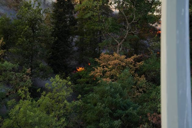 Forest Fire in Zell am Harmersbach, August 11, 2026 Forest Fire in Zell am Harmersbach, August 11, 2026 Zell am Harmersbach, Baden-Württemberg, Germany Copyright: xBEAUTIFULxSPORTS Boscox