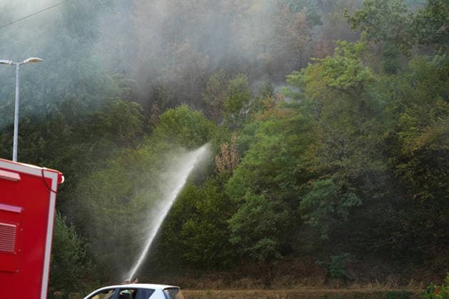 Forest Fire in Zell am Harmersbach, August 11, 2026 Forest Fire in Zell am Harmersbach, August 11, 2026 Zell am Harmersbach, Baden-Württemberg, Germany Copyright: xBEAUTIFULxSPORTS Boscox