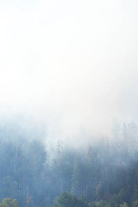 Forest Fire in Zell am Harmersbach, August 11, 2026 Forest Fire in Zell am Harmersbach, August 11, 2026 Zell am Harmersbach, Baden-Württemberg, Germany Copyright: xBEAUTIFULxSPORTS Boscox