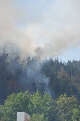 Forest Fire in Zell am Harmersbach, August 11, 2026 Forest Fire in Zell am Harmersbach, August 11, 2026 Zell am Harmersbach, Baden-Württemberg, Germany Copyright: xBEAUTIFULxSPORTS Boscox