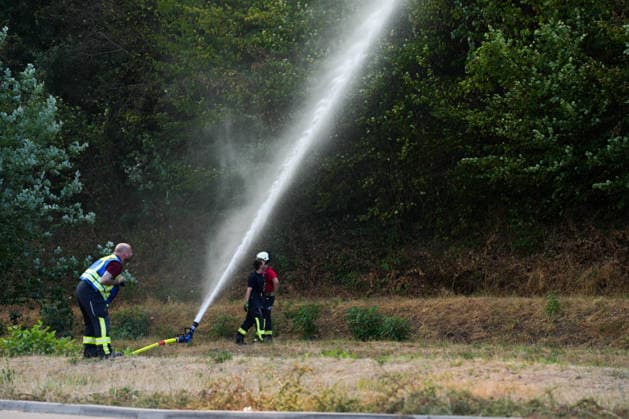Forest Fire in Zell am Harmersbach, August 11, 2026 Forest Fire in Zell am Harmersbach, August 11, 2026 Zell am Harmersbach, Baden-Württemberg, Germany Copyright: xBEAUTIFULxSPORTS Boscox