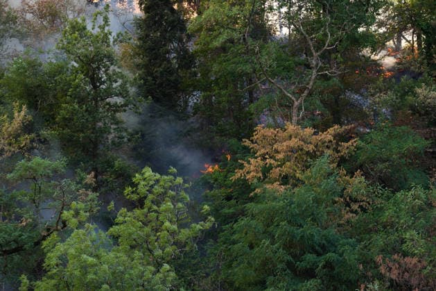 Forest Fire in Zell am Harmersbach, August 11, 2026 Forest Fire in Zell am Harmersbach, August 11, 2026 Zell am Harmersbach, Baden-Württemberg, Germany Copyright: xBEAUTIFULxSPORTS Boscox