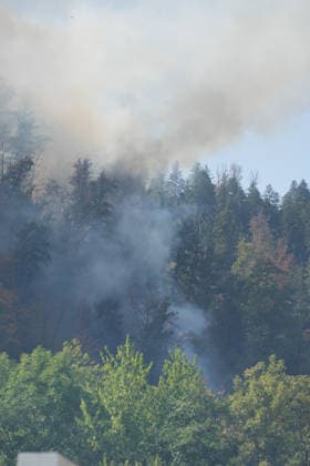 Forest Fire in Zell am Harmersbach, August 11, 2026 Forest Fire in Zell am Harmersbach, August 11, 2026 Zell am Harmersbach, Baden-Württemberg, Germany Copyright: xBEAUTIFULxSPORTS Boscox