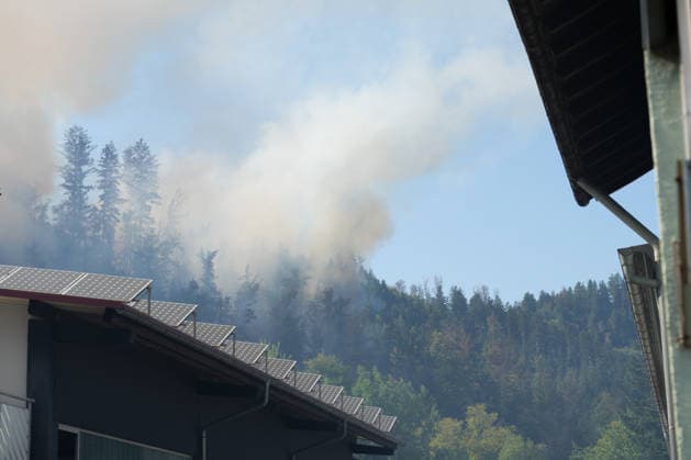 Forest Fire in Zell am Harmersbach, August 11, 2026 Forest Fire in Zell am Harmersbach, August 11, 2026 Zell am Harmersbach, Baden-Württemberg, Germany Copyright: xBEAUTIFULxSPORTS Boscox