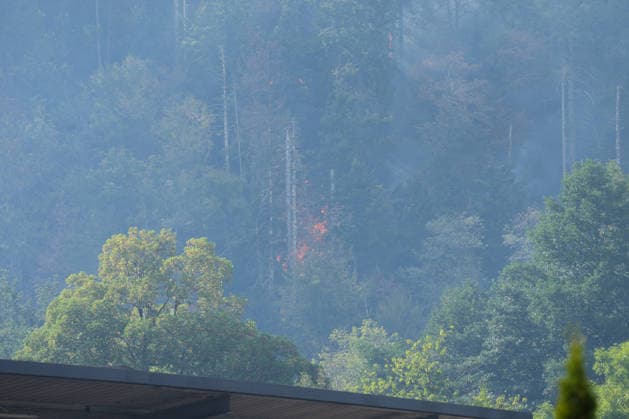 Forest Fire in Zell am Harmersbach, August 11, 2026 Forest Fire in Zell am Harmersbach, August 11, 2026 Zell am Harmersbach, Baden-Württemberg, Germany Copyright: xBEAUTIFULxSPORTS Boscox