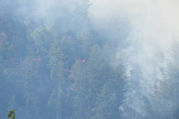 Forest Fire in Zell am Harmersbach, August 11, 2026 Forest Fire in Zell am Harmersbach, August 11, 2026 Zell am Harmersbach, Baden-Württemberg, Germany Copyright: xBEAUTIFULxSPORTS Boscox