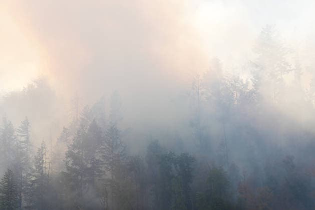 Forest Fire in Zell am Harmersbach, August 11, 2026 Forest Fire in Zell am Harmersbach, August 11, 2026 Zell am Harmersbach, Baden-Württemberg, Germany Copyright: xBEAUTIFULxSPORTS Boscox