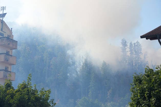 Forest Fire in Zell am Harmersbach, August 11, 2026 Forest Fire in Zell am Harmersbach, August 11, 2026 Zell am Harmersbach, Baden-Württemberg, Germany Copyright: xBEAUTIFULxSPORTS Boscox