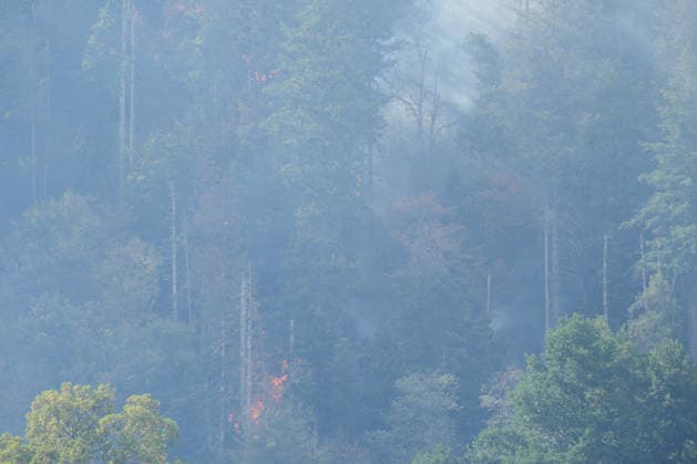 Forest Fire in Zell am Harmersbach, August 11, 2026 Forest Fire in Zell am Harmersbach, August 11, 2026 Zell am Harmersbach, Baden-Württemberg, Germany Copyright: xBEAUTIFULxSPORTS Boscox
