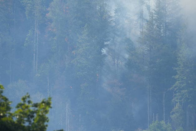 Forest Fire in Zell am Harmersbach, August 11, 2026 Forest Fire in Zell am Harmersbach, August 11, 2026 Zell am Harmersbach, Baden-Württemberg, Germany Copyright: xBEAUTIFULxSPORTS Boscox