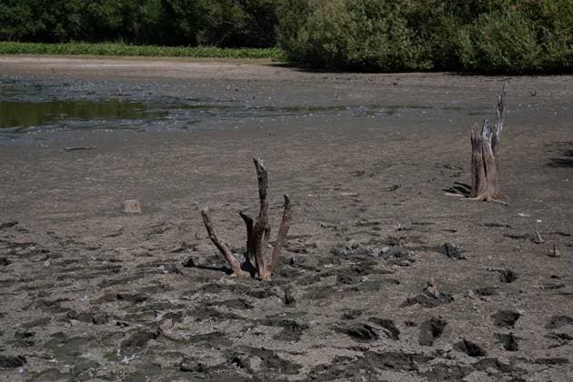 Prolonged heatwave and drought dry up historic Stew Pond at Epsom Common in Surrey EPSOM, UNITED KINGDOM - AUGUST 11: A veiw of the cracked, parched earth of Stew Pond exposed following an extended period of high temperatures and severe drought conditions at Epsom Common in Surrey, England, on August 11, 2026. The historic pond, a local nature reserve and habitat for diverse wildlife, has seen its water levels drop dramatically as persistent dry weather continues across southern Britain. Rasid Necati Aslim Anadolu Epsom United Kingdom. Editorial use only. Please get in touch for any other usage.  Copyright: x2026xAnadoluxRasidxNecatixAslimx