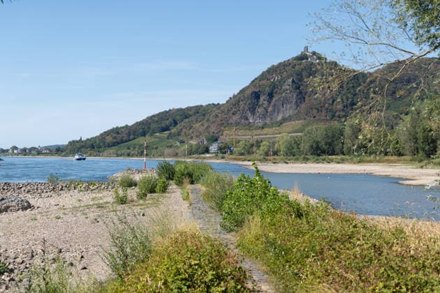Low Water on the Rhine: The Aalschokker Aranka in the dried-up side channel near Grafenwerth Island, August 11, 2026. Low Water on the Rhine: With water levels at 3 cm at the Oberwinter gauge and 70 cm at the Copyright: xMarcxJohnx