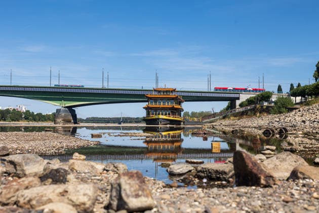 Only a few puddles remain: Low water levels expose the Rhine riverbed in Bonn-Beuel Bonn, Aug
