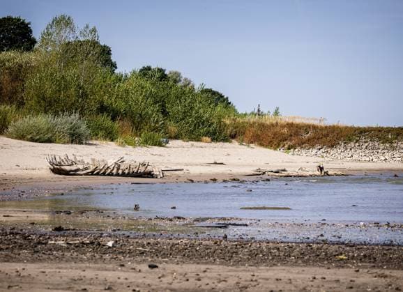 SPYCK - The wreck of the sunken ship De Hoop from 1895 has become visible due to the low water level in the Rhine between Tolkamer and Spijk. The discharge of the Rhine is lower than ever recorded. SEM VAN DER WAL ANP netherlands out - belgium out  Copyright: xx x565317906x originalFilename: 565317906.jpg