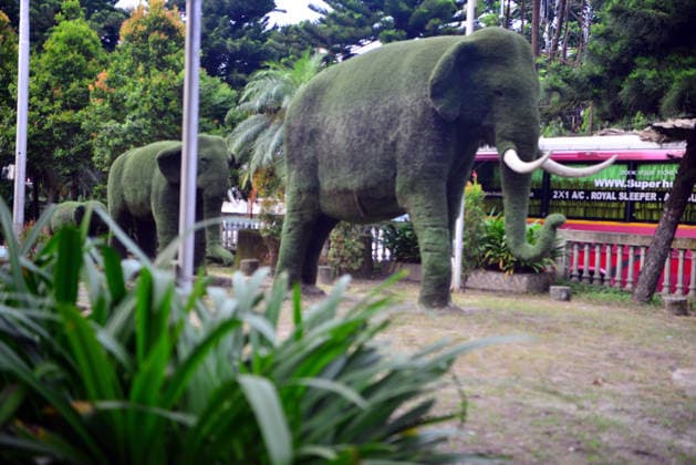 August 12, 2026, Siliguri, West Bengal, India: Trees are shaped like Elephants structure at Airview Traffic Point Park in Siliguri. World Elephant Day is observed globally today. These elephant-themed trees were created to protect both elephants and trees. Siliguri India - ZUMAd209 20260812_znp_d209_012 Copyright: xDiptenduxDuttax