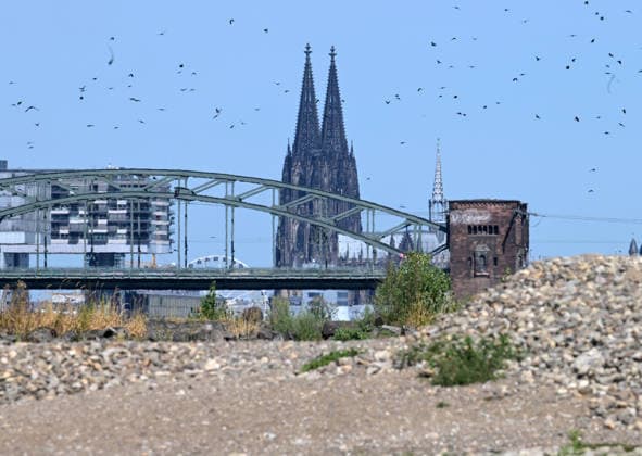 August 12, 2026, xophax, public life, Cologne, banks of the Rhine, City of Cologne, low water levels on the banks of the Rhine in Cologne, viewed from the Poll, Cologne Cathedral and the Südbrücke