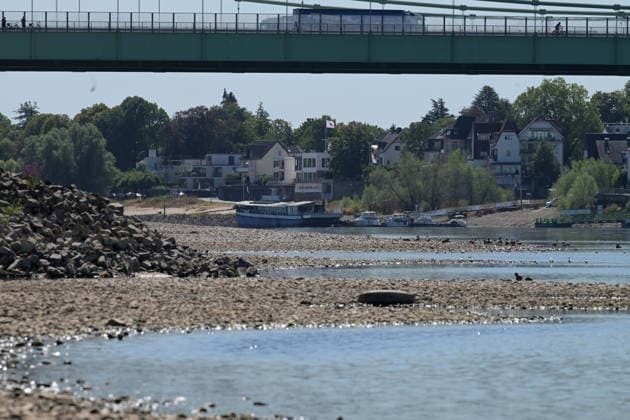August 12, 2026, xophax, public life, Cologne, banks of the Rhine, City of Cologne; low water levels on the banks of the Rhine in Cologne, viewed from Poll toward Rodenkirchen, Cologne