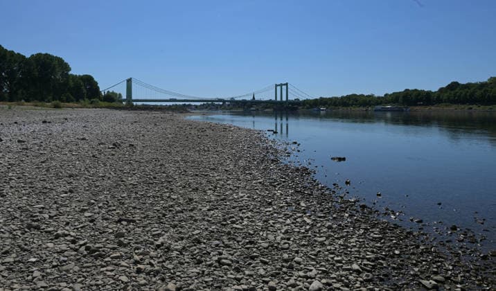 August 12, 2026, xophax, public life, Cologne, banks of the Rhine, City of Cologne, low water level on the banks of the Rhine in Cologne, viewed from Poll, with the Rodenkirchen Bridge in the background, Cologne