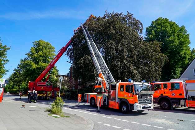 CNTV TREE CROWN Fire Department Deploys Heavy Equipment: Broken Tree Crown Threatens to Fall onto the Street August 12, 2026 Hamburg Wandsbek Marienthal On Wednesday, the Hamburg Fire Department carried out an operat