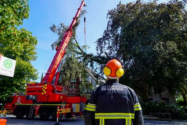 CNTV TREE CROWN Fire Department Deploys Heavy Equipment: Broken Tree Crown Threatens to Fall onto the Street August 12, 2026 Hamburg Wandsbek Marienthal On Wednesday, the Hamburg Fire Department carried out an operat