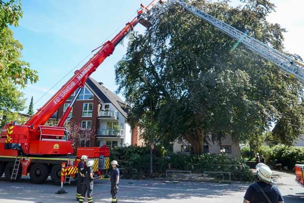 CNTV TREE CROWN Fire Department Deploys Heavy Equipment: Broken Tree Crown Threatens to Fall onto the Street August 12, 2026 Hamburg Wandsbek Marienthal On Wednesday, the Hamburg Fire Department carried out an operat