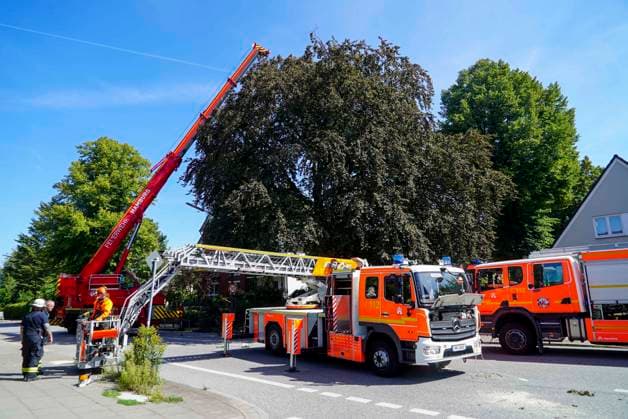 CNTV TREE CROWN Fire Department Deploys Heavy Equipment: Broken Tree Crown Threatens to Fall onto the Street August 12, 2026 Hamburg Wandsbek Marienthal On Wednesday, the Hamburg Fire Department carried out an operat