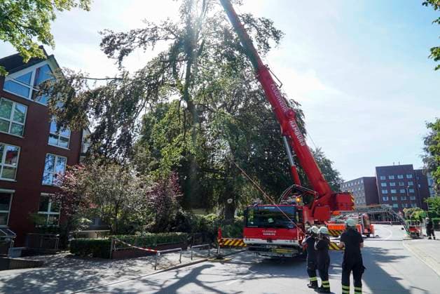 CNTV TREE CROWN Fire Department Deploys Heavy Equipment: Broken Tree Crown Threatens to Fall onto the Street August 12, 2026 Hamburg Wandsbek Marienthal On Wednesday, the Hamburg Fire Department carried out an operat