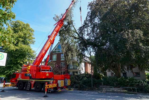 CNTV TREE CROWN Fire Department Deploys Heavy Equipment: Broken Tree Crown Threatens to Fall onto the Street August 12, 2026 Hamburg Wandsbek Marienthal On Wednesday, the Hamburg Fire Department carried out an operat