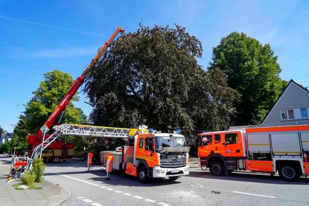CNTV TREE CROWN Fire Department Deploys Heavy Equipment: Broken Tree Crown Threatens to Fall onto the Street August 12, 2026 Hamburg Wandsbek Marienthal On Wednesday, the Hamburg Fire Department carried out an operat