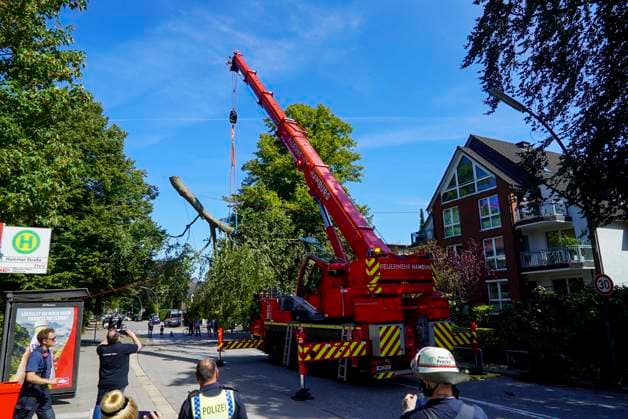 CNTV TREE CROWN Fire Department Deploys Heavy Equipment: Broken Tree Crown Threatens to Fall onto the Street August 12, 2026 Hamburg Wandsbek Marienthal On Wednesday, the Hamburg Fire Department carried out an operat