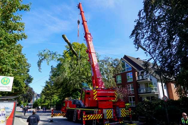 CNTV TREE CROWN Fire Department Deploys Heavy Equipment: Broken Tree Crown Threatens to Fall onto the Street August 12, 2026 Hamburg Wandsbek Marienthal On Wednesday, the Hamburg Fire Department carried out an operat