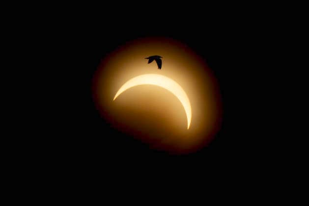 Solar Eclipse in Denmark Solar eclipse in Denmark at Mariager Fjord on Wednesday, August 12, 2026. Denmark will experience a rare solar eclipse on Wednesday between 7:00 p.m. and 9:00 p.m. At 8:04 p.m., when the eclipse is at its peak, approximately 84 percent of the sun’s disk will be covered. Mariager, Denmark, Mors  Copyright: BoxAmrstrupx xRitzauxScanpix BoxAmstrupx spdk20260812-203015-L