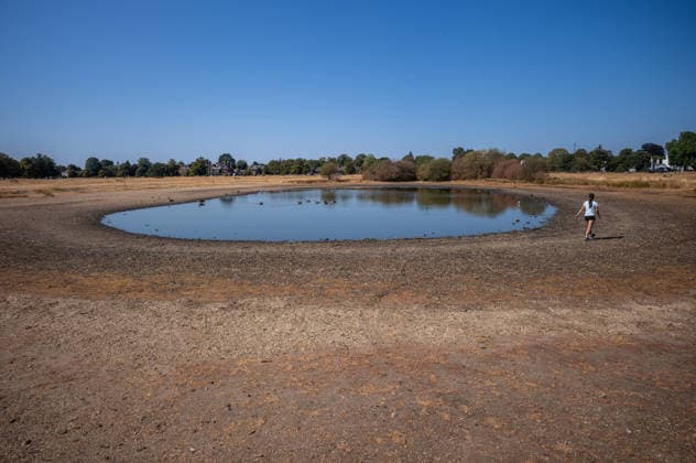 August 13, 2026, London, UK: London, UK. A walker walks past an almost empty Pen Ponds as she braves the 37c heat on Wimbledon Common, southwest London today. Weather forecasters issue further Amber high heat weather alerts for London and the South East this week as the South has had hardly any rain for over 40 days. London UK  - ZUMAl94_ 20260813_zaf_l94_033 Copyright: xAlexxLentatix