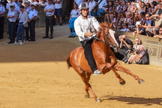 August 13, 2026, Siena, Toscana, ITALIA: Siena, Piazza del Campo Ã¢â‚¬ August 13, 2026. The *Tratta* took place this morning; it is one of the key moments of the Palio, during which the selected horses are assigned by lot to the ten *Contrade* participating in the race on August 16. Siena ITALIA - ZUMAs236 20260813_aap_s236_032 Copyright: xFabioxSassox