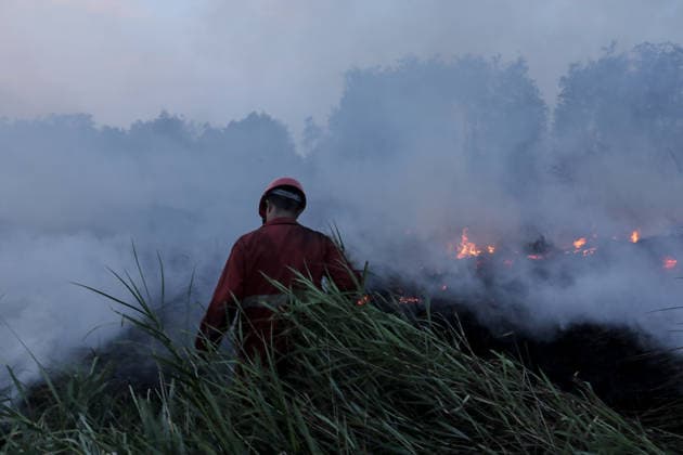 Peatland Fire In South Sumatra Members of the Manggala Agni team work to extinguish a fire at a peatland site in Palm Raya Village, Inderalaya District, South Sumatra, on August 13, 2026. Inderalaya Indonesia  Copyright: xSigitxPrasetyax originalFilename: prasetya-notitle260813_npy9Q.jpg