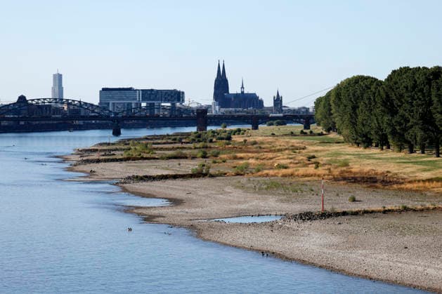 With no rain in sight, the historically low water level of the Rhine in North Rhine-Westphalia has fallen even further. In Cologne, a level of 49 centimeters was measured on Thursday, August 13. The Rhine’s water level in Cologne has thus reached a record low. Many of the Rhine meadow Copyright: xChristophxHardtx