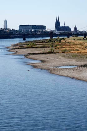 With no rain in sight, the historically low water level of the Rhine in North Rhine-Westphalia has fallen even further. In Cologne, a level of 49 centimeters was measured on Thursday, August 13. The Rhine’s water level in Cologne has thus reached a record low. Many of the Rhine meadow Copyright: xChristophxHardtx