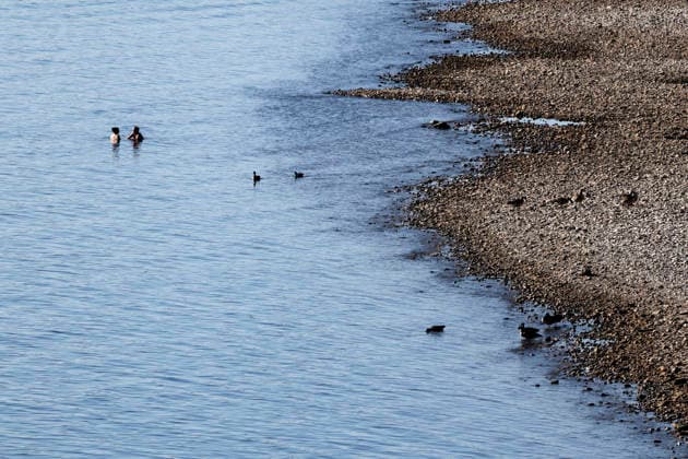 With no rain in sight, the historically low water level of the Rhine in North Rhine-Westphalia has fallen even further. In Cologne, a level of 49 centimeters was measured on Thursday, August 13. The Rhine’s water level in Cologne has thus reached a record low. Many of the Rhine meadow Copyright: xChristophxHardtx