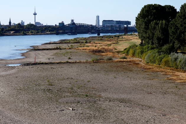 With no rain in sight, the historically low water level of the Rhine in North Rhine-Westphalia has fallen even further. In Cologne, a level of 49 centimeters was measured on Thursday, August 13. The Rhine’s water level in Cologne has thus reached a record low. Many of the Rhine meadow Copyright: xChristophxHardtx