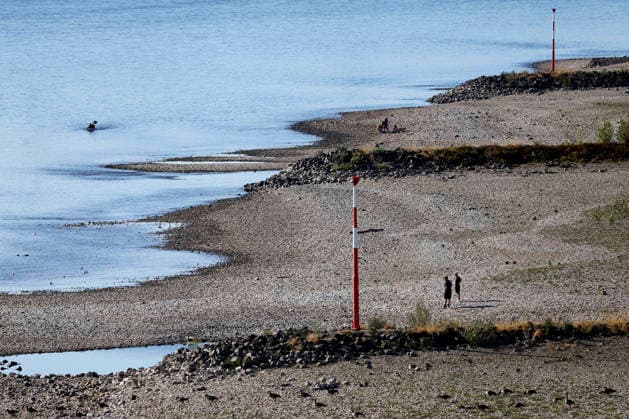 With no rain in sight, the historically low water level of the Rhine in North Rhine-Westphalia has fallen even further. In Cologne, a level of 49 centimeters was measured on Thursday, August 13. The Rhine’s water level in Cologne has thus reached a record low. Many of the Rhine meadow Copyright: xChristophxHardtx