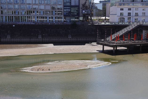 August 13, 2026, Germany, North Rhine-Westphalia, Weather, Heat, Rivers, Low Water Levels, Drought, Due to the heat, the water level of the Rhine in Düsseldorf’s Medienhafen has dropped significantly; birds on a sandbar, Germany Copyright: xD.xKerlekin SnowfieldxPhotographyx SF130826HafenD5