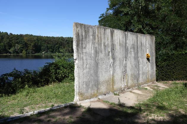 Sunflowers are placed in a segment of the Berlin Wall at the Wall Memorial on Griebnitzsee in Potsdam to mark the 65th anniversary of the construction of the Berlin Wall, August 13, 2026—65 years since the Wall was built