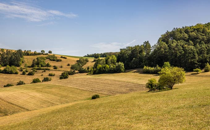 Dry, hilly landscape with harvested fields and wooded slopes in Untermettingen, Germany, August 9, 2026. View of the parched cultural landscape with stubble fields, clusters of trees, and forest edges during a heat wave. The persistent summer drought is reshaping the agricultural land in the rolling hills. Copyright: xAndreasxHaasx