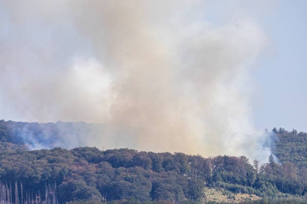 Möhnesee Forest Fire Since 15:00, emerg