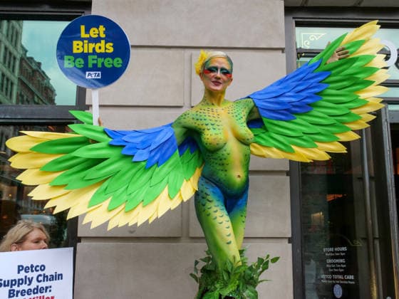 August 13, 2026, New York, New York, USA: NYC PETA demonstration in Union Square with painted live parakeet models on stilts bringing attention to a PETA investigation exposing a mass breeding factory in Petco s supply chain. They are claiming birds are crammed tightly into waste filled cages without veterinary care for sick or injured animals and left to die. The animal rights group charges an Oklahoma breeder Creekside birds with animal cruelty and ask please dont buy birds or any other live animals from Petco or any other pet store. Adopt instead. New York USA  - ZUMAh156 20260813_znp_h156_004 Copyright: xMiloxHessx