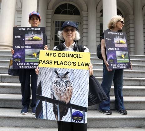 August 13, 2026, New York, New York, USA: Supporters and members of the NYC Bird Alliance gather outside City Hall to demand the passage of Lights Out legislation. The bill, dubbed Flaco s Law, aims to curb commercial night lighting to protect over 250,000 migratory birds from fatal building collisions in New York City annually. New York USA - ZUMAk03_ 20260813_zaf_k03_002 Copyright: xNancyxKaszermanx